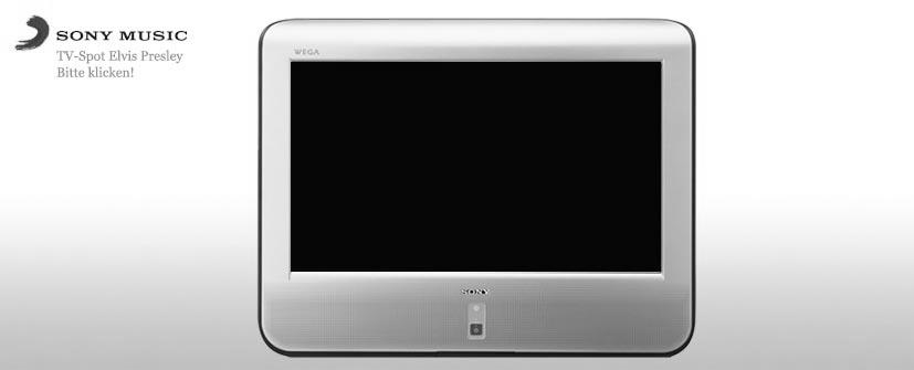 ecko arbeitsproben rz sony10